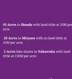 Mutonzi rogers, 30 years old, Man, Entebbe, Uganda