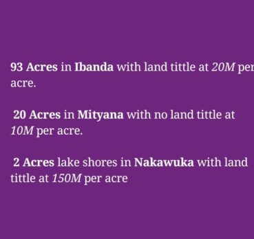 Mutonzi rogers, 30 years old, Entebbe, Uganda